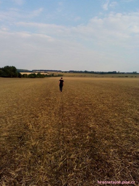 field