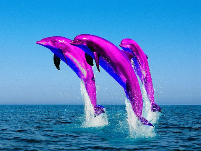 delfni
